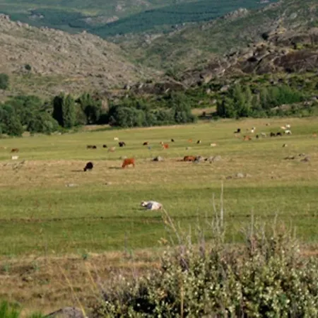Fuente Tia Canora